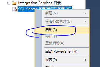 SQL SERVER 数据库的备份