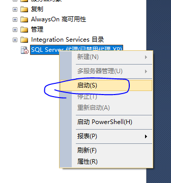 SQL SERVER 数据库的备份